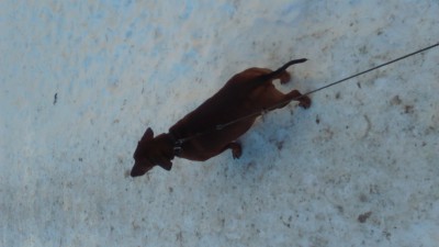 DSC_0003.JPG (1.21 МБ) 3819 просмотров DSC_0003.JPG