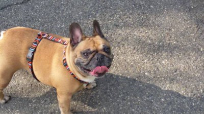 1jpg_2992653_20864201.jpg (44.82 КБ) 16201 просмотр 1jpg_2992653_20864201.jpg