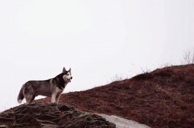 WQQNf_oUct4.jpg (151.82 КБ) 4955 просмотров царь горы