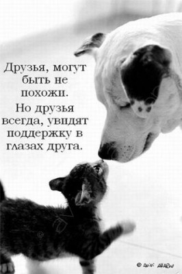 112486813_getImage__60_.jpg