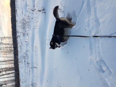 20170120_090944.jpg (8.36 МБ) 1999 просмотров 20170120_090944.jpg