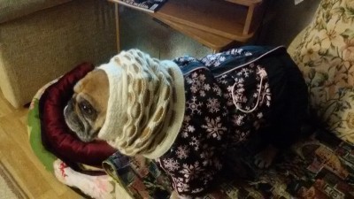 20170202_063411.jpg