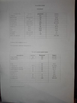 8jvnS8LkQA4.jpg