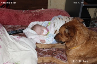 бдит за лялюшкой