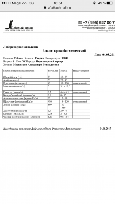 IMG_2531.PNG