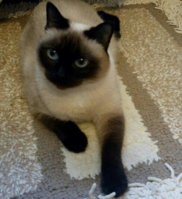 _20170523_001621.JPG (87.21 КБ) 2741 просмотр _20170523_001621.JPG