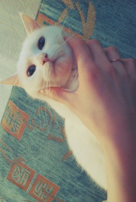 I2T9ovFebUs.jpg (242.62 КБ) 2741 просмотр I2T9ovFebUs.jpg