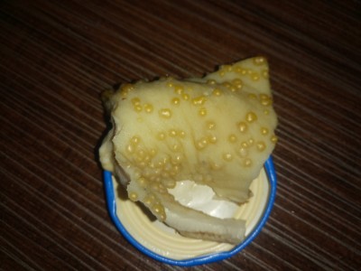 DSC_0819.JPG (4 МБ) 2692 просмотра DSC_0819.JPG